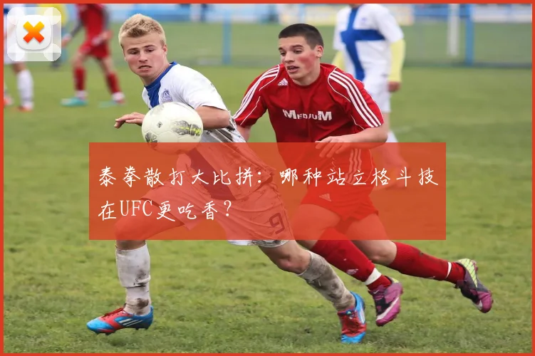 泰拳散打大比拼:哪种站立格斗技在UFC更吃香?
