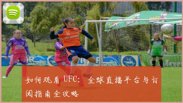 如何观看 UFC:全球直播平台与订阅指南全攻略