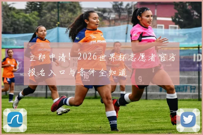 立即申请！2026世界杯志愿者官方报名入口与条件全知道