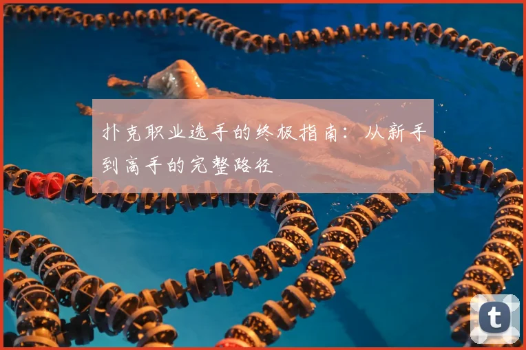 扑克职业选手的终极指南:从新手到高手的完整路径